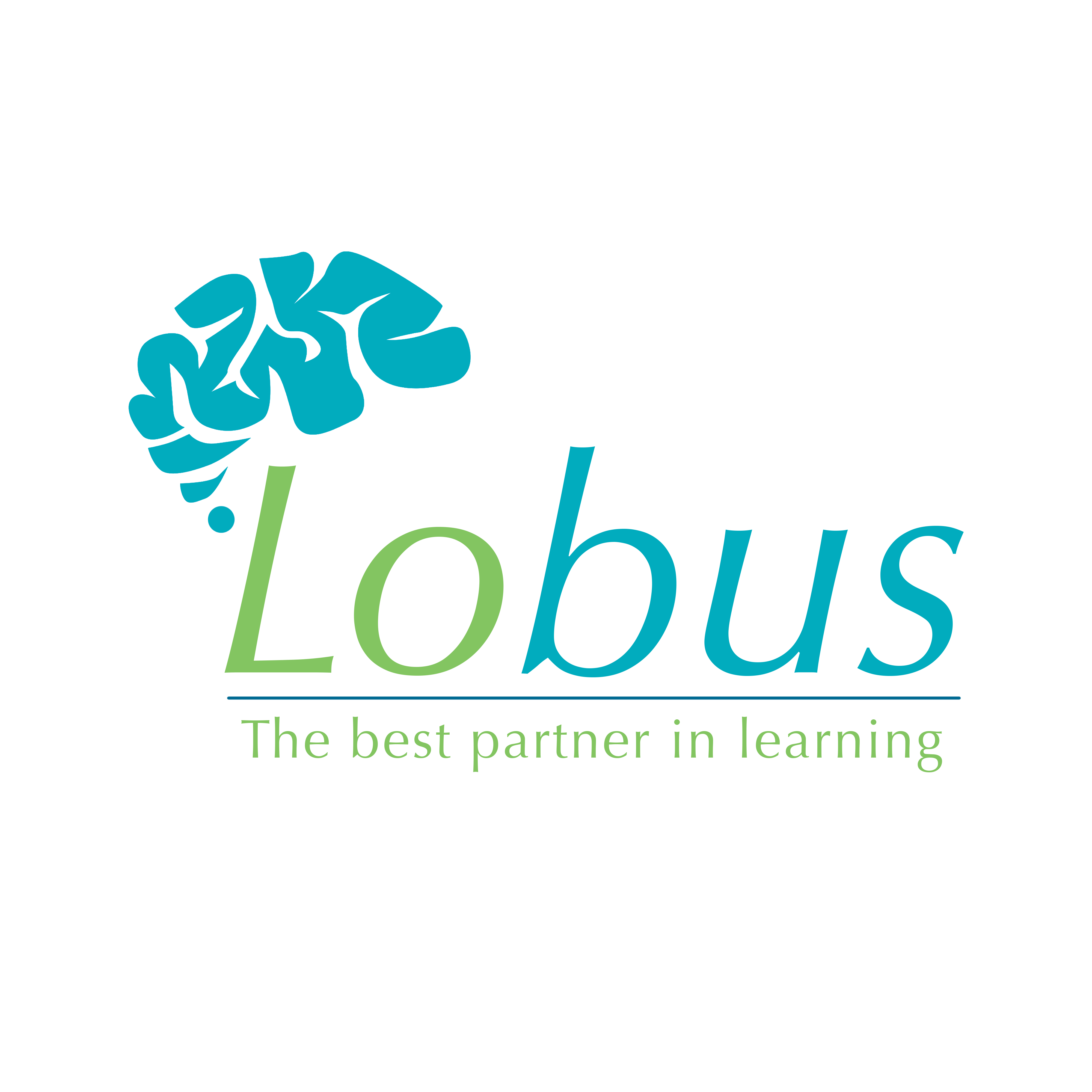 Lobus